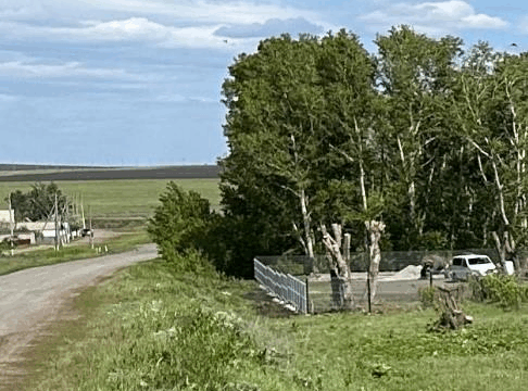 изображение_2025-05-13_092913743
