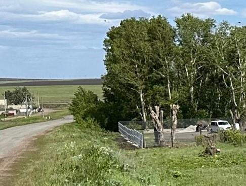 изображение_2025-05-13_092913743