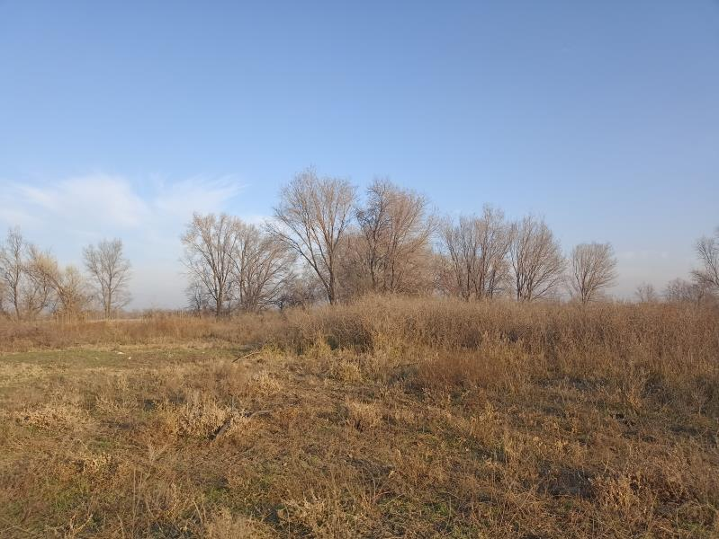 изображение_2025-05-13_105204201