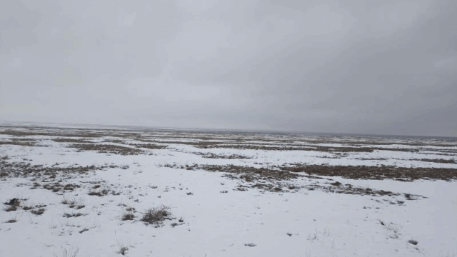 Тұрақты жер пайдалану құқығымен жалпы ауданы 120,0000 га жер учаскесі, жер учаскесінің кадастрлық нөмірі 03:051:253:041