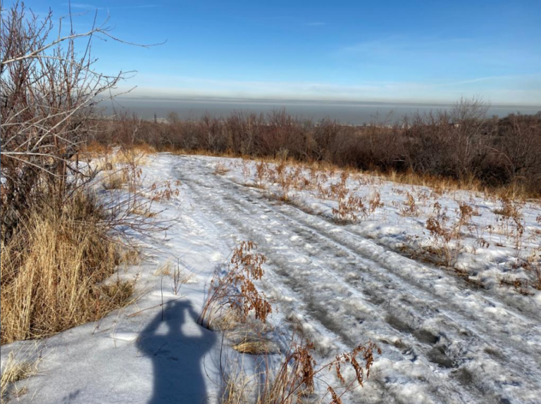 изображение_2026-03-26_104157965