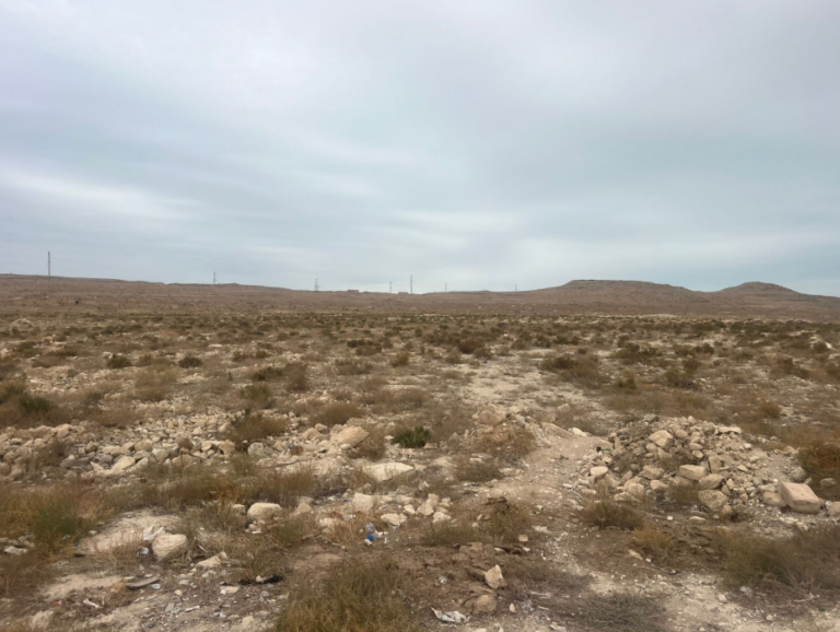 изображение_2026-03-26_110343585