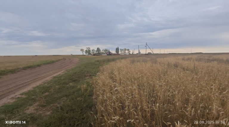 изображение_2026-03-31_162625073