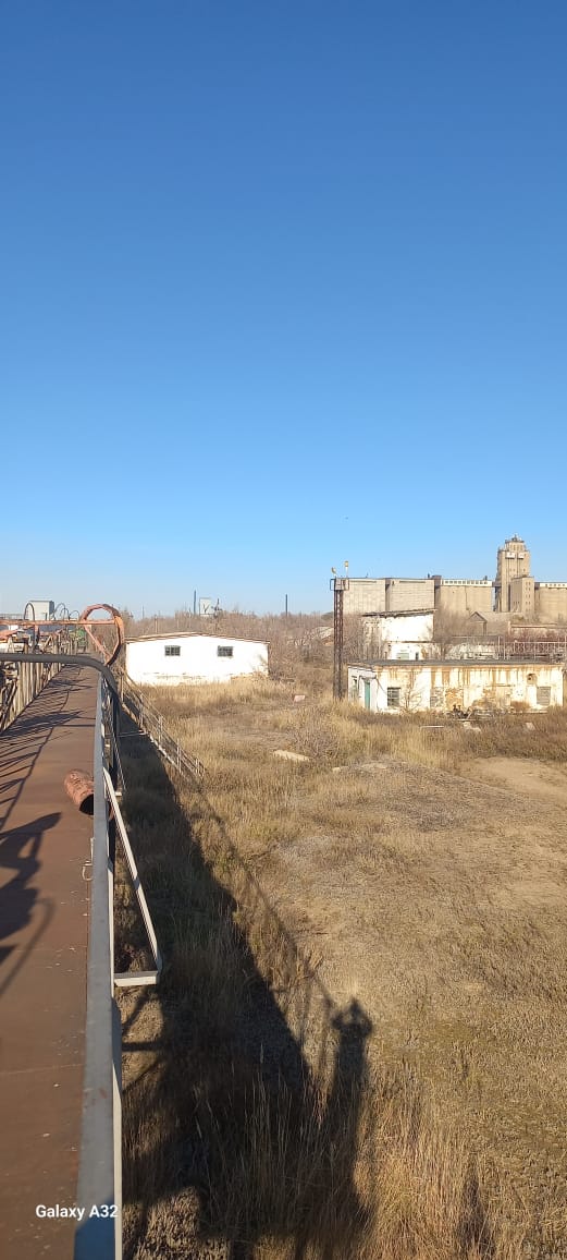 WhatsApp Image 2026-03-26 at 15.11